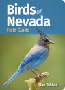 Birds of Nevada Field Guide