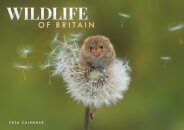 Wildlife Of Britain A4 Calendar 2026
