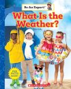 What Is the Weather? (Be an Expert!)