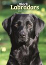 Labrador Retrievers Black A5 Diary 2026