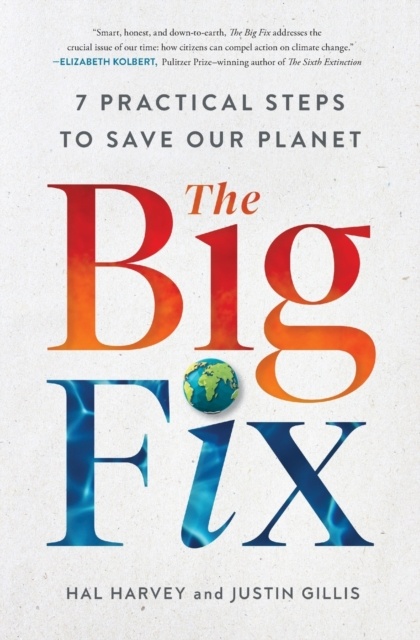 The Big Fix