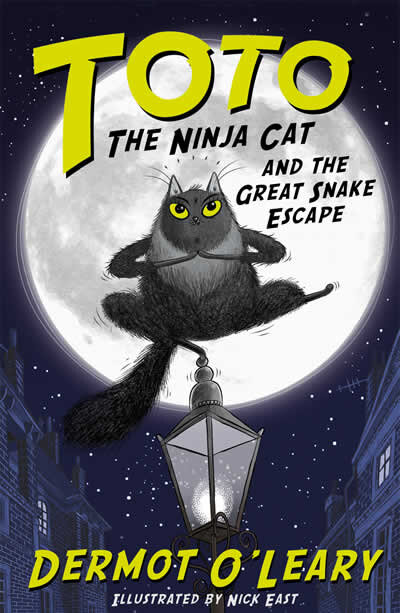 The Ninja Cat