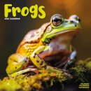 Frogs Calendar 2026  Square Animal Wall Calendar - 16 Month