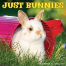 Just Bunnies 2025 12 X 12 Wall Calendar