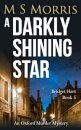 A Darkly Shining Star
