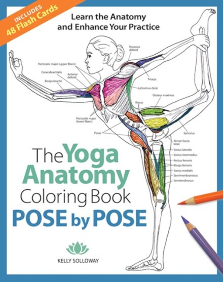 Yoga Anatomy Coloring Book, The: Pose by Pose