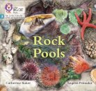 Rock Pools