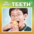 All About Teeth