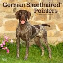 German Shorthaired Pointers 2026 Square Flap Calendar
