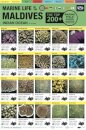 Maldives Marine Life Field Guide
