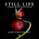 Jane Fulton Alt: Still Life