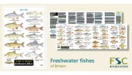 Guide to British Freshwater Fishes