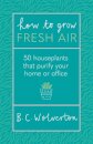 How To Grow Fresh Air