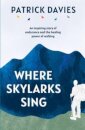 Where Skylarks Sing