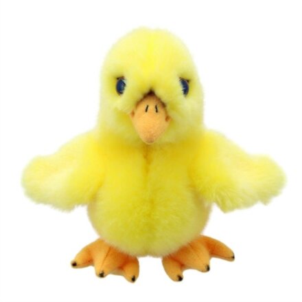 Chick Soft Toy