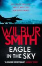 Eagle in the Sky