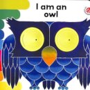 I Am an Owl