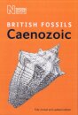 British Cenozoic Fossils