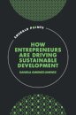 How Entrepreneurs are Driving Sustainable Development