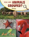 How Are Animals Grouped?