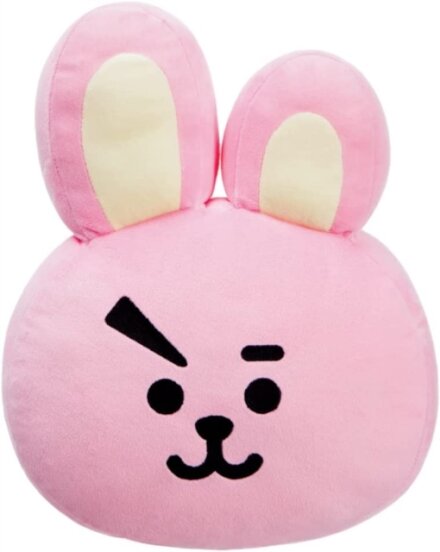 BT21 COOKY CUSHION
