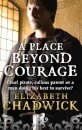 A Place Beyond Courage