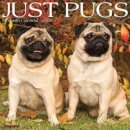 Just Pugs 2025 12 X 12 Wall Calendar