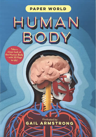 Paper World: Human Body