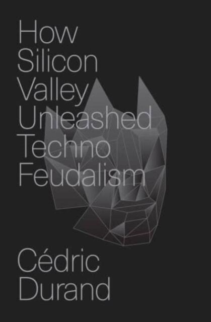 How Silicon Valley Unleashed Techno