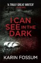 I Can See in the Dark