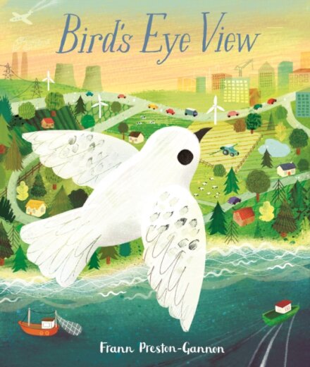 A Bird'S Eye View