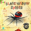 Bug Club Reading Corner: Age 5-7: Gross Lifecycles: Black Widow Spider