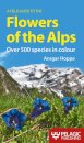 A Field Guide to the Flowers of the Alps