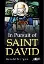 In Pursuit of Saint David