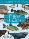 Junior Field Guide: Fishes of Nunavut
