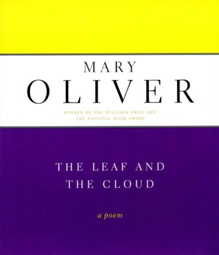 The Leaf And The Cloud