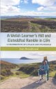 A Welsh Learner's Hill and Eisteddfod Ramble in Llyn