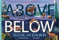 Above and Below: Dusk till Dawn