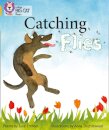 Catching Flies