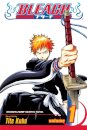 Bleach, Vol. 1