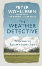 The Weather Detective