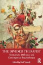 The Divided Therapist