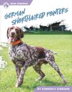 German Shorthaired Pointers