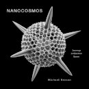 Nanocosmos