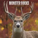 Monster Bucks Square Wall Sunday Start C
