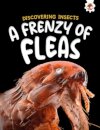 Discovering Insects: A Frenzy of Fleas