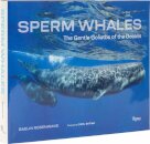 Sperm Whales