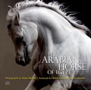 The Arabian Horse of Egypt