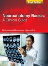 Neuroanatomy Basics: A Clinical Guide