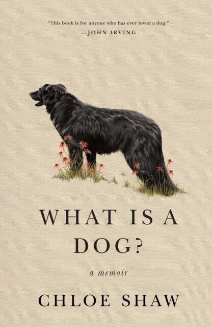 What Is A Dog?
